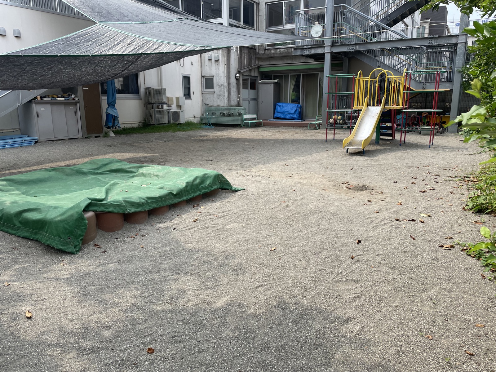 園庭の様子